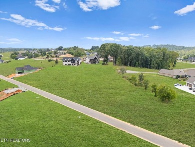 This half acre lot offers views of TN Nationals 13th and 14th on Tennessee National Golf Club in Tennessee - for sale on GolfHomes.com, golf home, golf lot