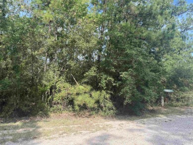 Come make Lake Sam Rayburn your home! This property is one of on Rayburn Country Club in Texas - for sale on GolfHomes.com, golf home, golf lot