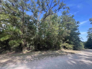 Come make Lake Sam Rayburn your home! This property is one of on Rayburn Country Club in Texas - for sale on GolfHomes.com, golf home, golf lot