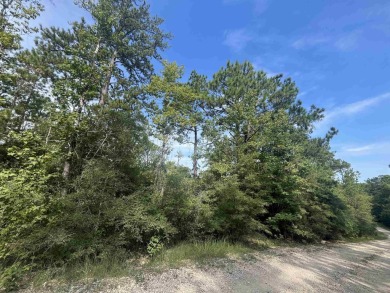Come make Lake Sam Rayburn your home! This property is one of on Rayburn Country Club in Texas - for sale on GolfHomes.com, golf home, golf lot