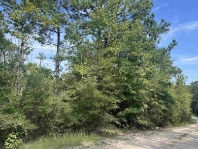 Come make Lake Sam Rayburn your home! This property is one of on Rayburn Country Club in Texas - for sale on GolfHomes.com, golf home, golf lot