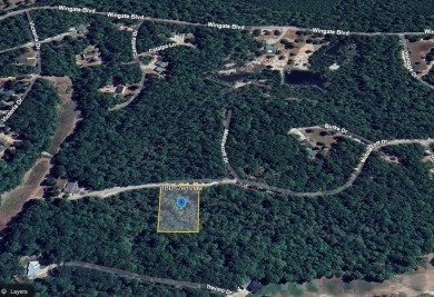 Come make Lake Sam Rayburn your home! This property is one of on Rayburn Country Club in Texas - for sale on GolfHomes.com, golf home, golf lot