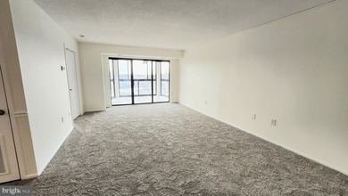 Looking for spectacular? Here it is! Freshly painted, new plush on Leisure World Golf Club in Maryland - for sale on GolfHomes.com, golf home, golf lot