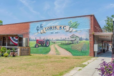 This land is perfect for homeowners, farmers, investors on Woodland Valley Country Club in South Carolina - for sale on GolfHomes.com, golf home, golf lot