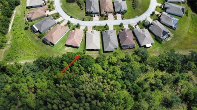 Under contract-accepting backup offers. HUGE PRICE ADJUSTMENT on on Stonegate Golf Club in Florida - for sale on GolfHomes.com, golf home, golf lot