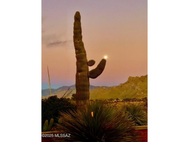PRICE REDUCED! All you need is your toothbrush & belongings for on Omni Tucson National Golf Resort and Spa - Sonoran in Arizona - for sale on GolfHomes.com, golf home, golf lot