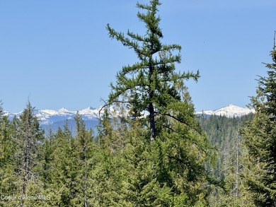 Absolutely stunning and truly one-of-a-kind, this 1.22-acre on The Idaho Club in Idaho - for sale on GolfHomes.com, golf home, golf lot