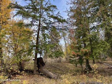 Absolutely stunning and truly one-of-a-kind, this 1.22-acre on The Idaho Club in Idaho - for sale on GolfHomes.com, golf home, golf lot