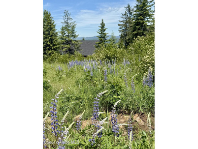 Absolutely stunning and truly one-of-a-kind, this 1.22-acre on The Idaho Club in Idaho - for sale on GolfHomes.com, golf home, golf lot