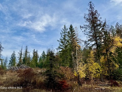 Absolutely stunning and truly one-of-a-kind, this 1.22-acre on The Idaho Club in Idaho - for sale on GolfHomes.com, golf home, golf lot