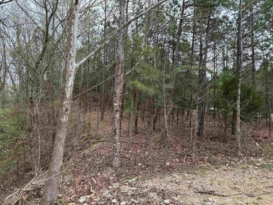 GREAT LOCATION...WHAT A VIEW OFF THE BACK PORCH...CLOSE TO on Granada Golf Course in Arkansas - for sale on GolfHomes.com, golf home, golf lot