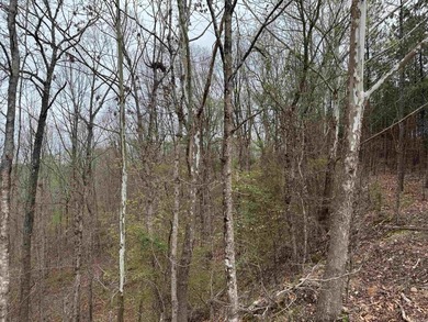 GREAT LOCATION...WHAT A VIEW OFF THE BACK PORCH...CLOSE TO on Granada Golf Course in Arkansas - for sale on GolfHomes.com, golf home, golf lot