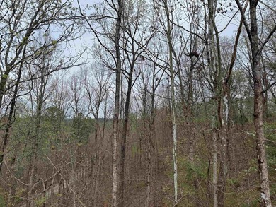 GREAT LOCATION...WHAT A VIEW OFF THE BACK PORCH...CLOSE TO on Granada Golf Course in Arkansas - for sale on GolfHomes.com, golf home, golf lot