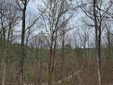 GREAT LOCATION...WHAT A VIEW OFF THE BACK PORCH...CLOSE TO on Granada Golf Course in Arkansas - for sale on GolfHomes.com, golf home, golf lot