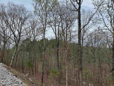 GREAT LOCATION...WHAT A VIEW OFF THE BACK PORCH...CLOSE TO on Granada Golf Course in Arkansas - for sale on GolfHomes.com, golf home, golf lot