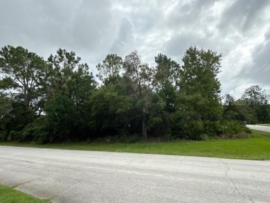 Beautiful wooded corner lot located at 1 Watkins Place in Palm on The Grand Club - Pine Lakes Course in Florida - for sale on GolfHomes.com, golf home, golf lot