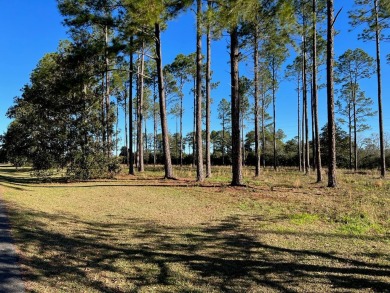 Beautiful 1.26 acre residential building lot located in Magnolia on Tired Creek Golf Course in Georgia - for sale on GolfHomes.com, golf home, golf lot
