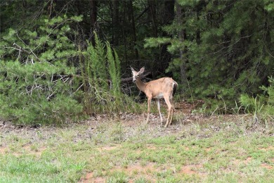 This Badin Lake waterfront lot is located in the prestigious on Old North State Club at Uwharrie Point Golf community in North Carolina - for sale on GolfHomes.com, golf home, golf lot