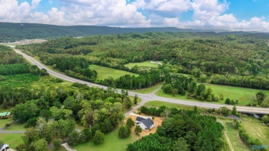 BRAND NEW HOME LOCATED NORTH FORT PAYNE AND OFFERS YOU THE WOW on Terrapin Hills Country Club in Alabama - for sale on GolfHomes.com, golf home, golf lot