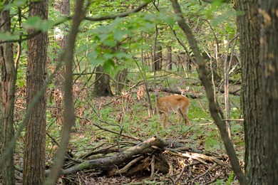 Welcome to your dream home-an exquisite retreat perfectly on Muskegon Country Club in Michigan - for sale on GolfHomes.com, golf home, golf lot