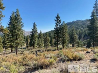 This is the largest lot in the Mountain Cottage development and on Clear Creek Tahoe in Nevada - for sale on GolfHomes.com, golf home, golf lot