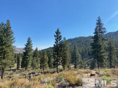 This is the largest lot in the Mountain Cottage development and on Clear Creek Tahoe in Nevada - for sale on GolfHomes.com, golf home, golf lot