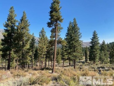 This is the largest lot in the Mountain Cottage development and on Clear Creek Tahoe in Nevada - for sale on GolfHomes.com, golf home, golf lot