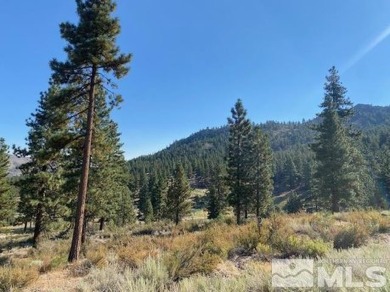 This is the largest lot in the Mountain Cottage development and on Clear Creek Tahoe in Nevada - for sale on GolfHomes.com, golf home, golf lot