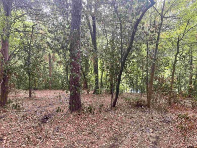 This beautiful Hideaway Lake lot is just waiting for you to on Hide-A-Way Lake Golf Course in Texas - for sale on GolfHomes.com, golf home, golf lot