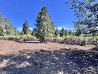 Experience the perfect blend of privacy, convenience and natural on Mount Shasta Resort in California - for sale on GolfHomes.com, golf home, golf lot