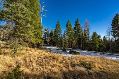 Enjoy the serenity of this wooded lot with a nice mix of on Angel Fire Resort Country Club in New Mexico - for sale on GolfHomes.com, golf home, golf lot