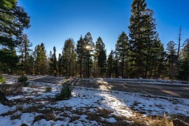 Settle into your mountain-top experience. Enjoy the serenity of on Angel Fire Resort Country Club in New Mexico - for sale on GolfHomes.com, golf home, golf lot