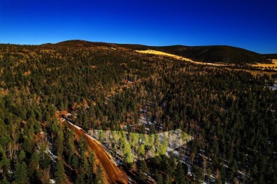 The southern exposure and views to the south make this lot worth on Angel Fire Resort Country Club in New Mexico - for sale on GolfHomes.com, golf home, golf lot