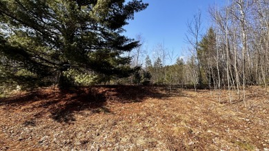 Nice homesite in Lakewood On The Green development. This lot on The Briar South At Lakewood in Michigan - for sale on GolfHomes.com, golf home, golf lot