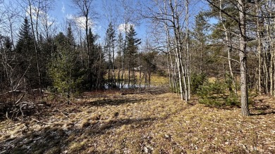 Nice homesite in Lakewood On The Green development. This lot on The Briar South At Lakewood in Michigan - for sale on GolfHomes.com, golf home, golf lot