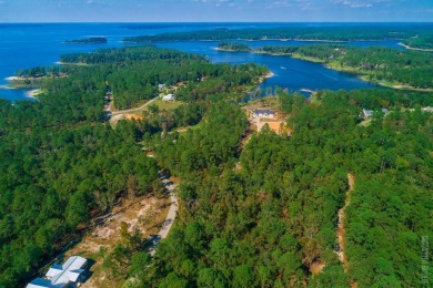 Looking for a luxury location to build? These premier lots are on Rayburn Country Club in Texas - for sale on GolfHomes.com, golf home, golf lot