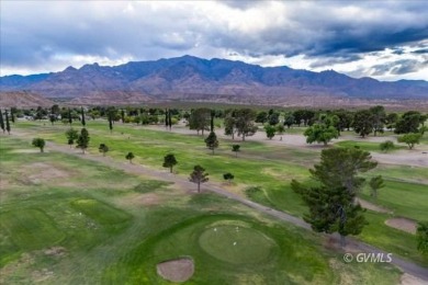 Run! Because this house is all that and a bag of chips! (If you on Mt. Graham Municipal Golf Course in Arizona - for sale on GolfHomes.com, golf home, golf lot