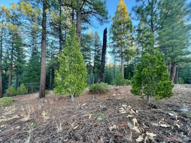 BEHOLD, BECKWOURTH PEAK!  This lovely Nakoma Resort homesite has on Nakoma Golf Resort in California - for sale on GolfHomes.com, golf home, golf lot