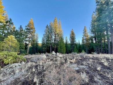 BEHOLD, BECKWOURTH PEAK!  This lovely Nakoma Resort homesite has on Nakoma Golf Resort in California - for sale on GolfHomes.com, golf home, golf lot