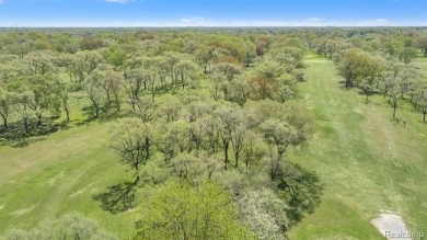 Are you looking for a super clean and move in condition 3 on Maple Lane Golf Club in Michigan - for sale on GolfHomes.com, golf home, golf lot