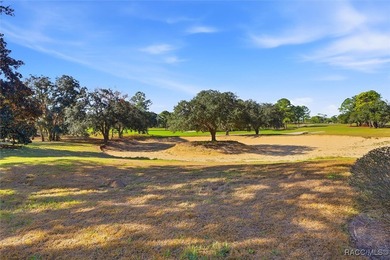 ENCHANTING, STUNNING AND MAINTAINED TO PERFECTION! It is Rare to on Black Diamond Ranch Golf Course in Florida - for sale on GolfHomes.com, golf home, golf lot