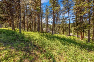 Gorgeous Valley and Mountain views with mature pine trees on Meadowcreek Golf Resort in Idaho - for sale on GolfHomes.com, golf home, golf lot