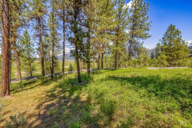 Gorgeous Valley and Mountain views with mature pine trees on Meadowcreek Golf Resort in Idaho - for sale on GolfHomes.com, golf home, golf lot