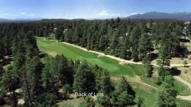 Wendy G Saunders, Keller Williams Realty Southwest Associates on Pagosa Springs Golf Club in Colorado - for sale on GolfHomes.com, golf home, golf lot