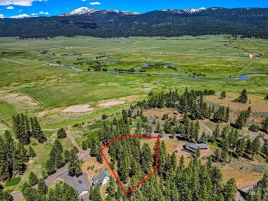 Gorgeous Valley and Mountain views with mature pine trees on Meadowcreek Golf Resort in Idaho - for sale on GolfHomes.com, golf home, golf lot