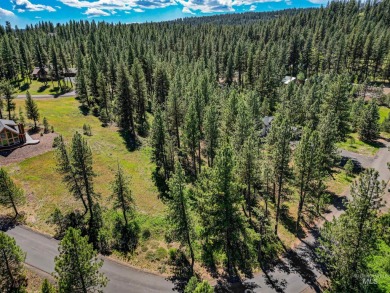 Gorgeous Valley and Mountain views with mature pine trees on Meadowcreek Golf Resort in Idaho - for sale on GolfHomes.com, golf home, golf lot