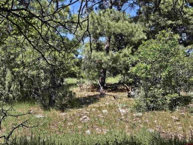 Wendy G Saunders, Keller Williams Realty Southwest Associates on Pagosa Springs Golf Club in Colorado - for sale on GolfHomes.com, golf home, golf lot