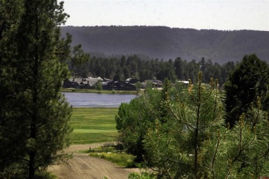 Wendy G Saunders, Keller Williams Realty Southwest Associates on Pagosa Springs Golf Club in Colorado - for sale on GolfHomes.com, golf home, golf lot