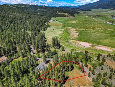 Gorgeous Valley and Mountain views with mature pine trees on Meadowcreek Golf Resort in Idaho - for sale on GolfHomes.com, golf home, golf lot