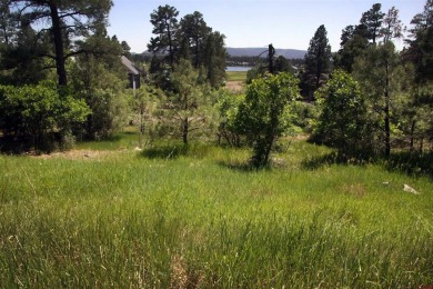 Wendy G Saunders, Keller Williams Realty Southwest Associates on Pagosa Springs Golf Club in Colorado - for sale on GolfHomes.com, golf home, golf lot